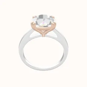 Cathedral Engagement Ring With Double Prongs Head